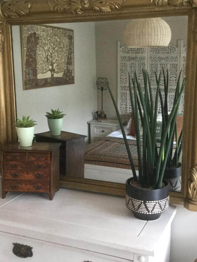 New Quay Bambu Cottage מראה חיצוני תמונה
